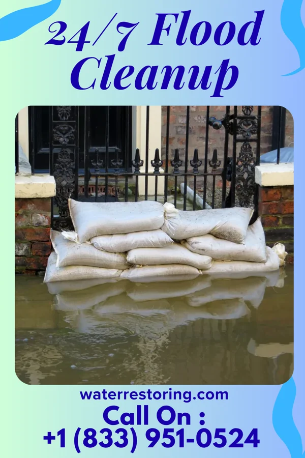 24/7 Flood Cleanup in Walden, TN