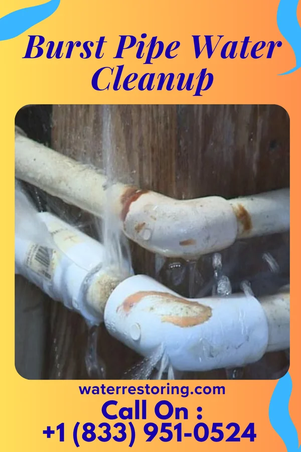 Burst Pipe Water Cleanup in Walden, TN