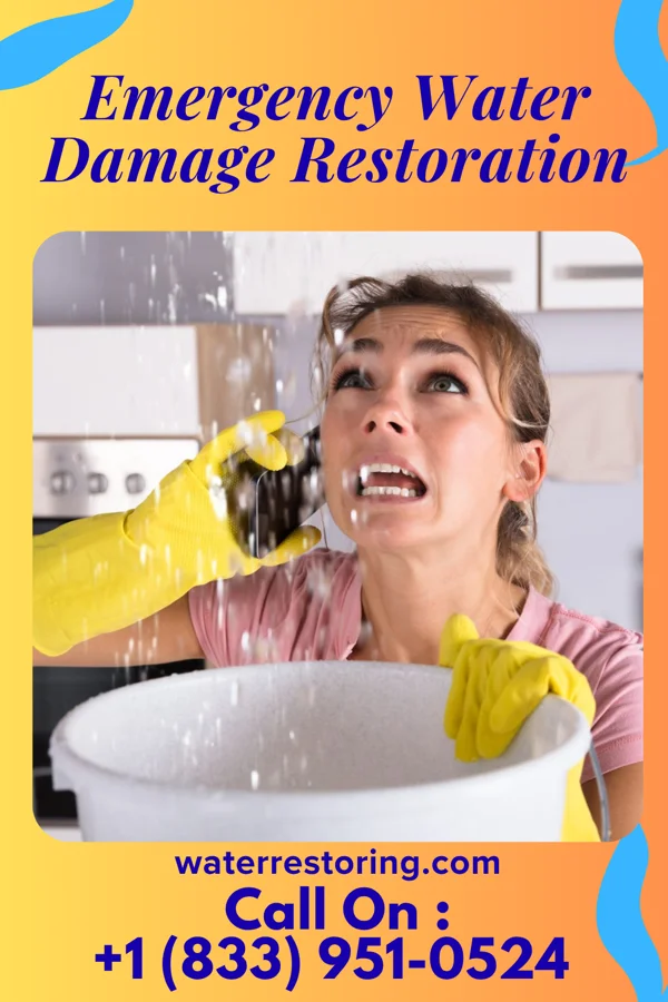 Emergency Water Damage Restoration in Walden, TN