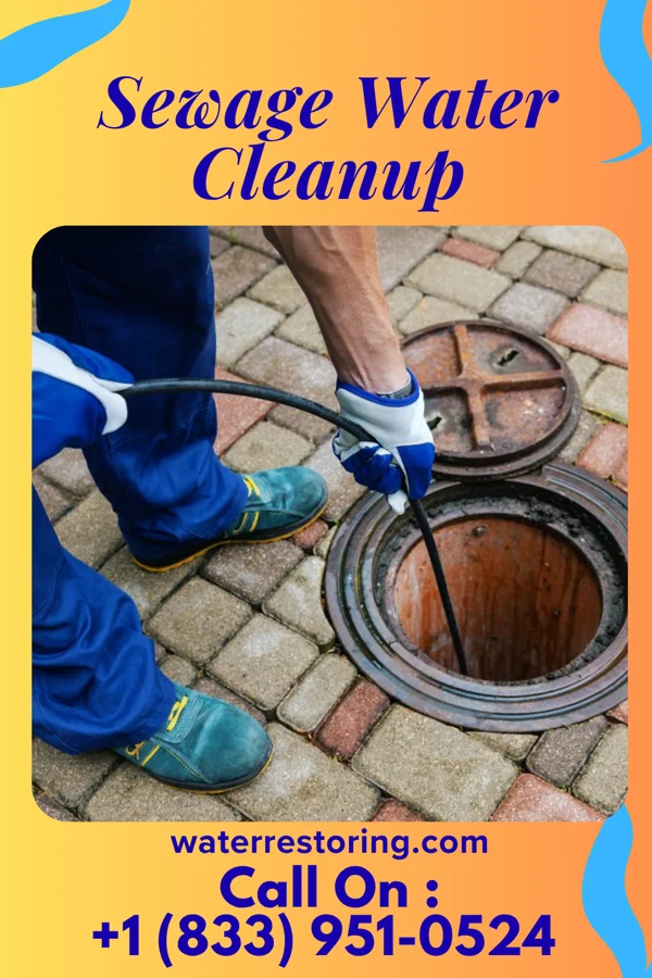 Sewage Water Cleanup in Walden, TN