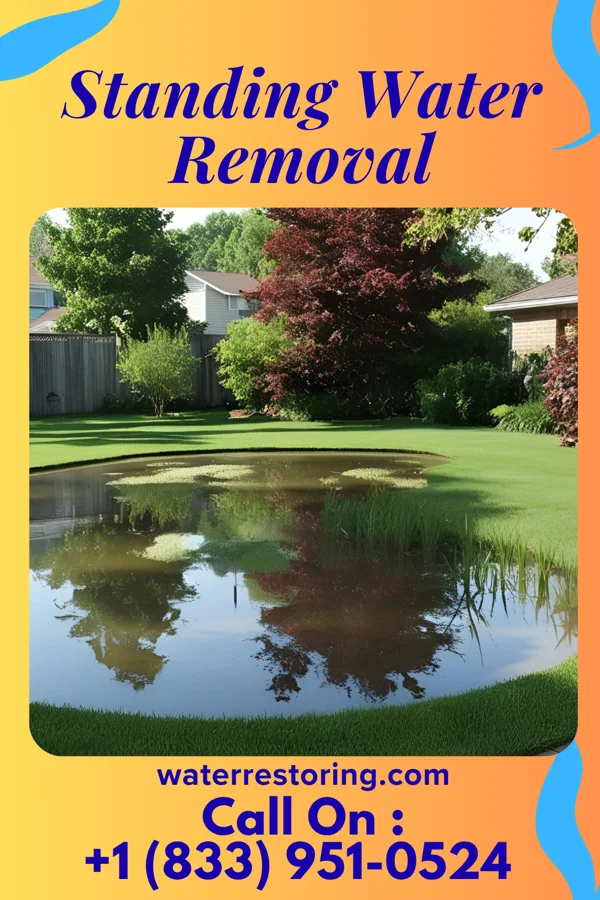 Standing Water Removal in Walden, TN